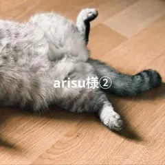 ゆうパケット発送 arisu様 リクエスト 5点 （同梱あり） — image 1