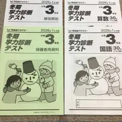 冬期学力診断テスト　小学3年生　1月実施 — image 1