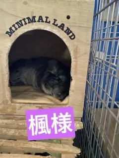 楓様専用 — image 1