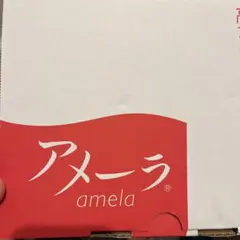 フルーツトマト　アメーラトマト　約1kg 静岡県産　甘い　高糖度　高級 — image 1