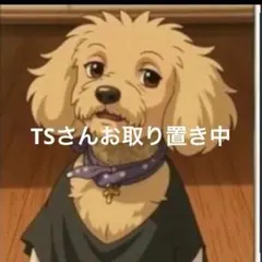 TSさんご専用 — image 1