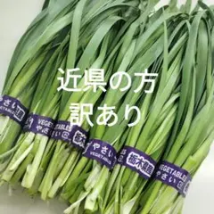 訳あり　ニラ　6束 約600g　本日発送 — image 1