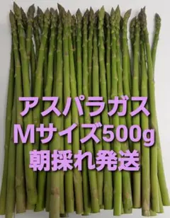 グリーンアスパラＭサイズ500g — image 1
