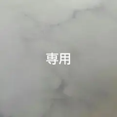 N 様専用 — image 1