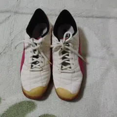 ピューマ — image 1