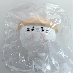 momoco あざらし スクイーズ 動物 Lサイズ — image 1