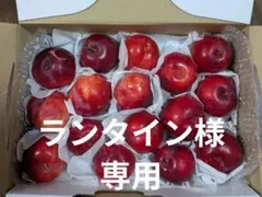 ランタイン様専用　プラム — image 1