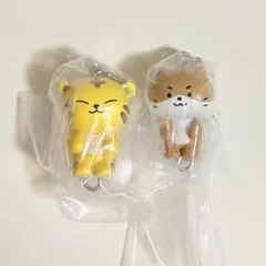 MINITEEN つまんでつなげてますこっと　ホ シ　ディノ — image 1