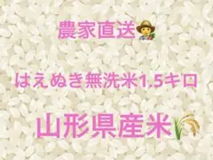 令和7年産はえぬき白米1.5キロ 無洗米精米 — image 1
