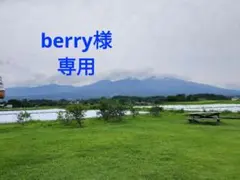 レストランクーポン券　berry様専用 — image 1