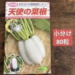 天使の葉根 80粒 ミニ大根の種 野菜の種 — image 1