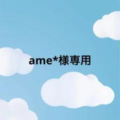ame*様専用 — image 1
