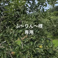 ふ〜りん〜様専用 — image 1