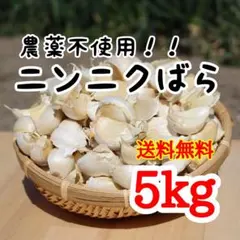 送料無料!! 2026年産 無農薬 バラニンニク 5kg ニンニク 5キロ — image 1