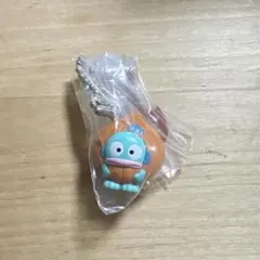 サンリオ ベジタブル ビスケット＆チャーム　ハンギョドン　キーホルダー　チャーム — image 1