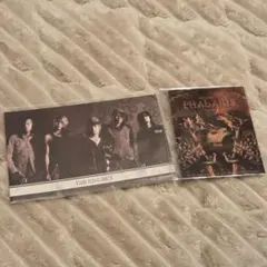未開封　DIRENGREY 会場限定ステッカー — image 1
