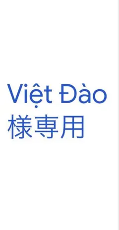 Việt Đào様専用 — image 1