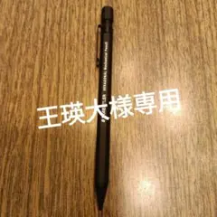 王瑛大様専用ページ — image 1
