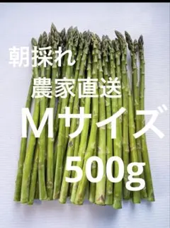 朝採れ　農家直送　アスパラ　アスパラガス　500g — image 1