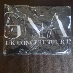 新品・未使用　SEO IN GUK CONCERT TOUR タオル — image 1