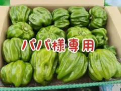 専用です — image 1
