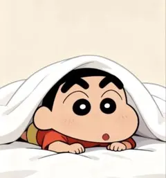 miya様専用 — image 1