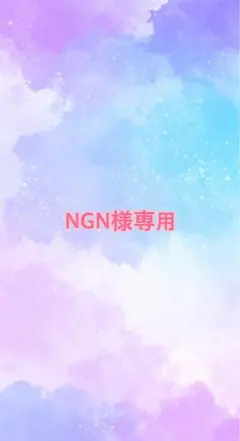 NGN様専用です — image 1