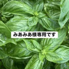 みあみあ様専用です。 — image 1