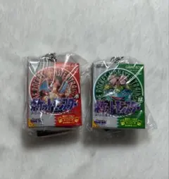 ポケモン パッケージ＆カートリッジキーホルダーコレクション 赤 緑 セット — image 1