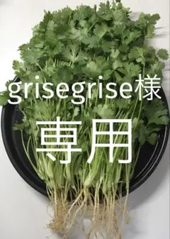 パクチー 香菜 コリアンダー 200g — image 1
