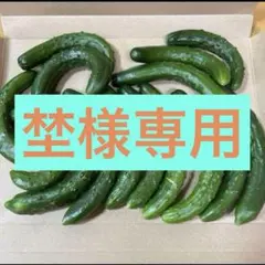 埜様専用 — image 1