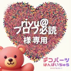 riyu@プロフ必読　様　専用ページ — image 1