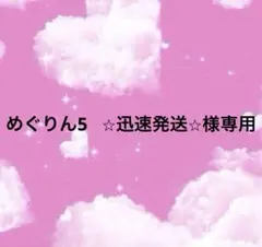 めぐりん5 ⭐︎迅速発送⭐︎様専用　毛糸 — image 1