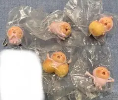 こびとづかん　カクレモモジリコレクション　セミコンプリート — image 1
