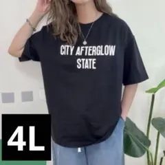 addCOLOR NOOOONコラボシャツ ロゴTシャツ ブラック 4L — image 1