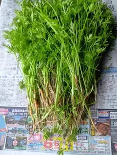 間引き人参の葉っぱ根付き★300g★農薬、除草剤や化学肥料不使用 — image 1