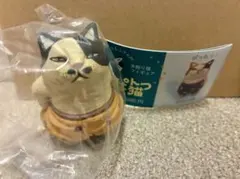 シープラ限定　しろもふさんのおぱんつ猫 — image 1