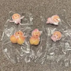 こびとづかん カクレモモジリ コレクション セミコンプ — image 1