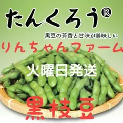 ⑬ たんくろう 黒枝豆 — image 1
