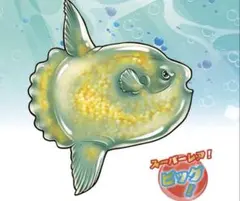くじらアタック&co. アンドコ　マンボウ　アンドコ　クジラアタックアンドコ — image 1