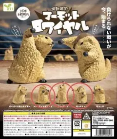 叫獣激突 マーモットロワイヤル — image 1