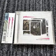 puli / never caught my eyes ,ep — image 1