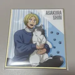 サカモトデイズ 猫と戯れver. 色紙 朝倉シン — image 1