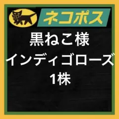 ネコポス追加購入 — image 1
