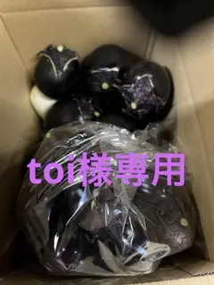 toi様専用　りんごあめなす　規格外詰め合わせ — image 1