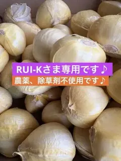 紫玉ねぎとジャンボニンニクのセット　箱込み1.6キロ — image 1