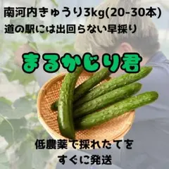 ◇全国送料無料 大阪産 きゅうり 3kg キュウリ 南河内 訳あり おいしい — image 1