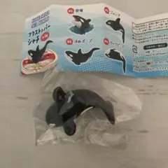 神戸須磨シーワールド　フタストッパー　シャチ — image 1