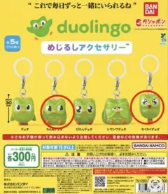 Duolingo めじるしアクセサリー — image 1