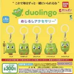 duolingo めじるしアクセサリー 全5種コンプリート — image 1